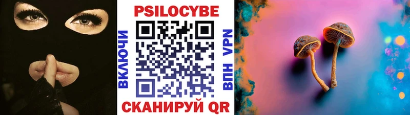 Псилоцибиновые грибы прущие грибы  Новоульяновск 